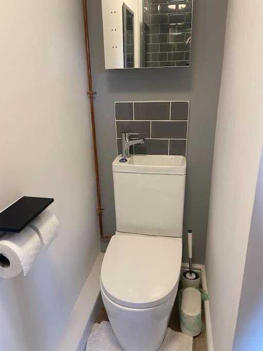 Adorable Bedsit For You, Partner And Your Pet! Stepaside  Zewnętrze zdjęcie