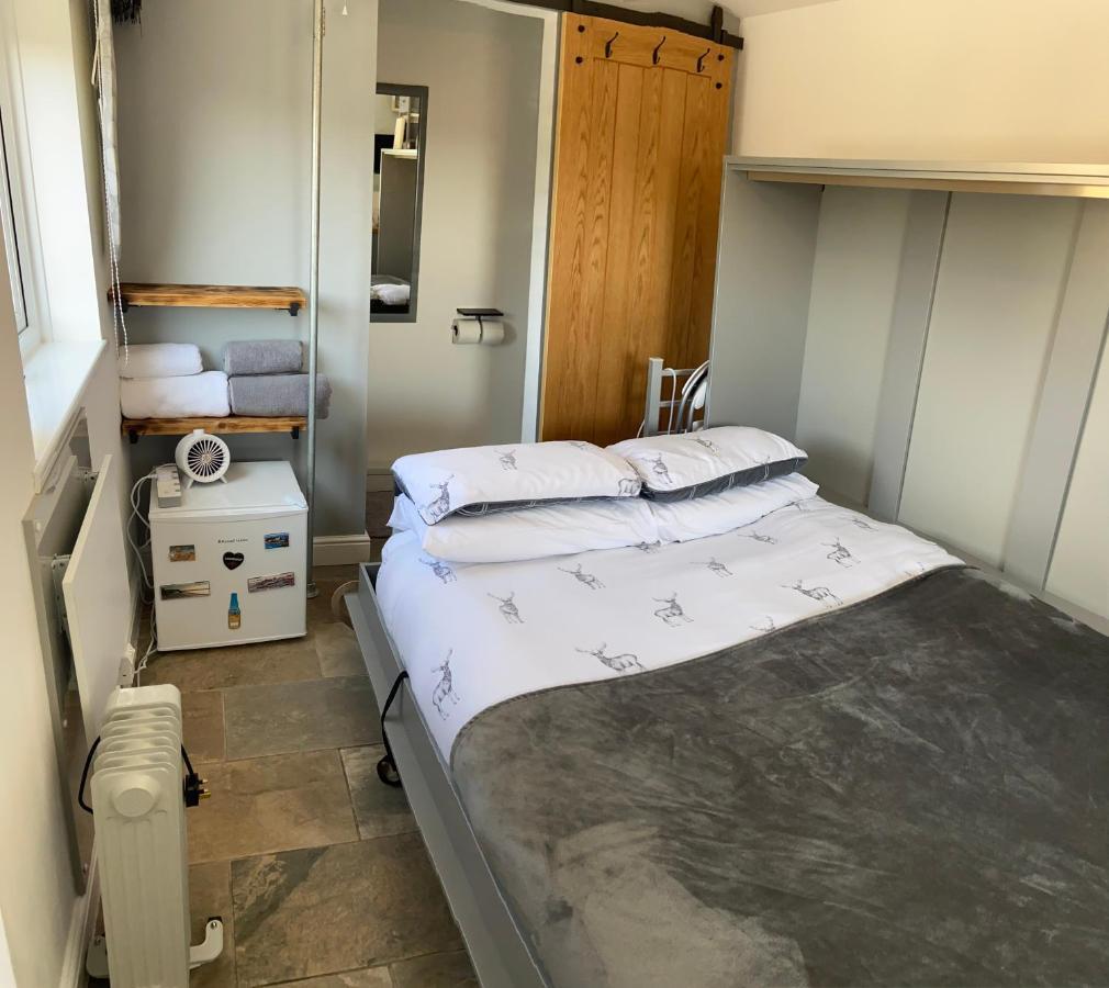 Adorable Bedsit For You, Partner And Your Pet! Stepaside  Zewnętrze zdjęcie